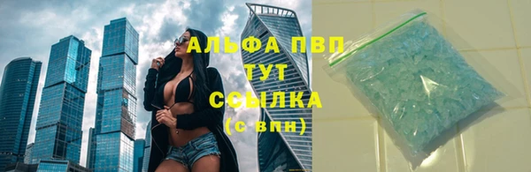 молекула духа Бронницы