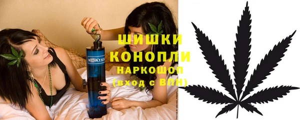 дмт Бородино