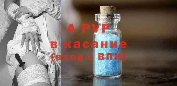 дмт Бородино