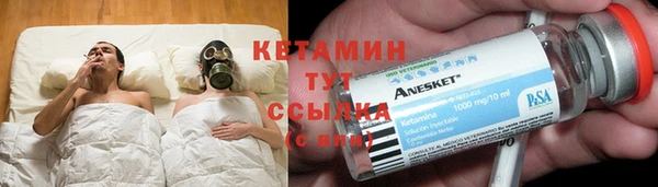 дмт Бородино