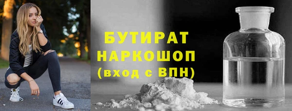 дмт Бородино