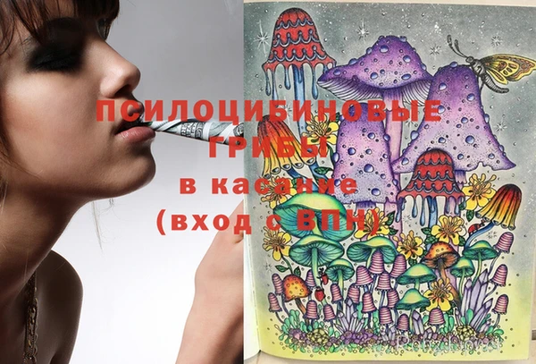 дмт Бородино