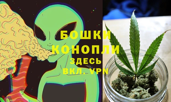 дмт Бородино