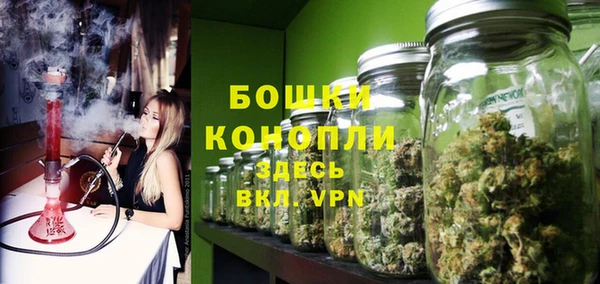 дмт Бородино
