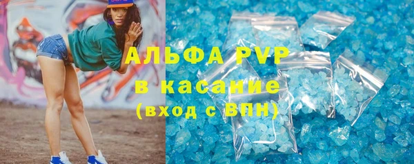 дмт Бородино