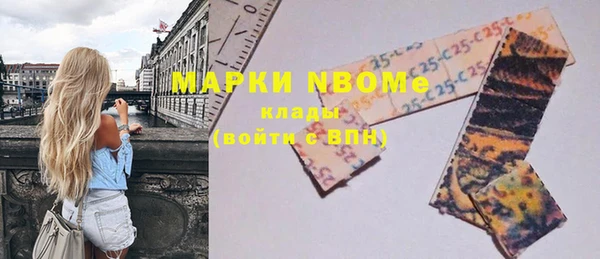 дмт Бородино