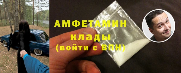 молекула духа Бронницы