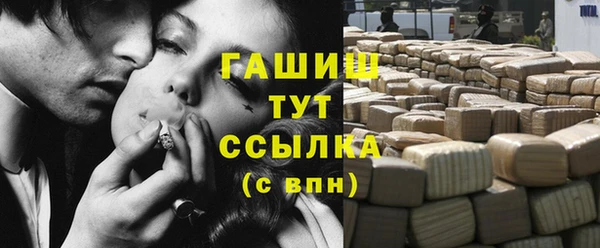 дмт Бородино