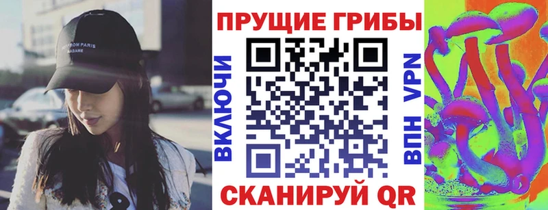 Псилоцибиновые грибы Cubensis Кинешма